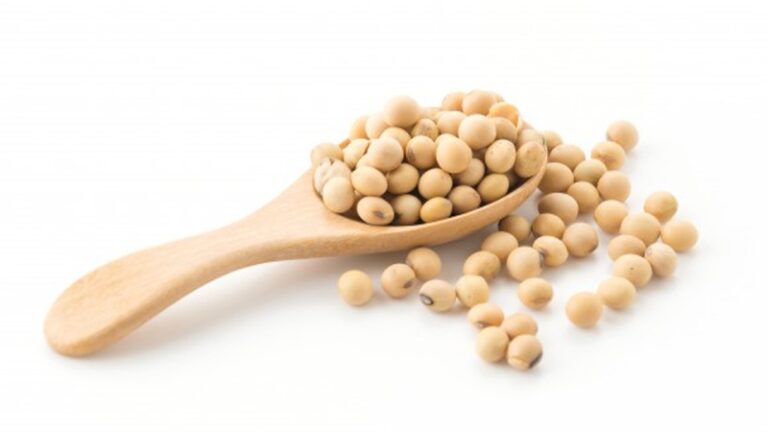 Soy in Your Diet