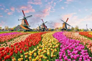Most Beautiful Gardens in Amsterdam with Stunning Exotic Plant Collections