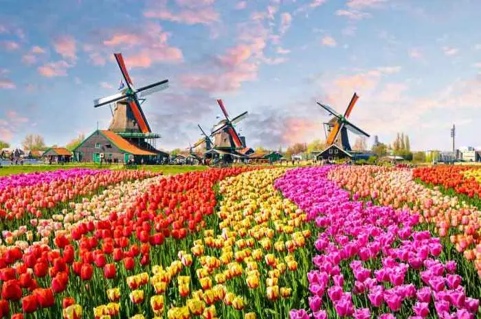 Most Beautiful Gardens in Amsterdam with Stunning Exotic Plant Collections